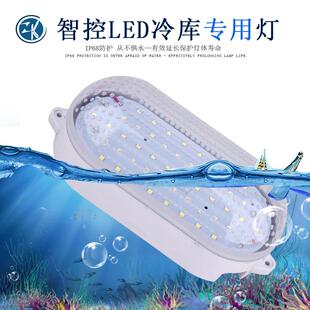 智控LED冷库冰库专用灯10W/15W防水防冻防爆灯罩耐低温浴室卫生间