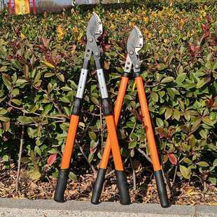 园林果树修枝剪高空树枝粗枝伸缩剪加强大力剪齿轮助力大力粗枝剪