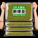 東北綠豆新鮮農(nóng)家綠豆可發(fā)芽糧油顆粒飽滿皮薄雜糧綠豆湯5斤批發(fā)