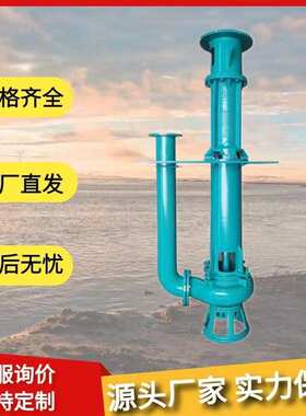 液下渣浆泵排污清淤杂质泵立式泥浆泵40PV-SP耐磨高铬合金矿用泵