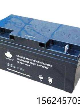 SENDON 山顿蓄电池12vOLT65AH 12vOLT100AH 12v100ah 12v65AH