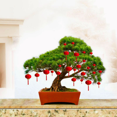 植绒小红灯笼挂饰树上结婚新年装饰喜庆元旦盆景室内场景布置挂件