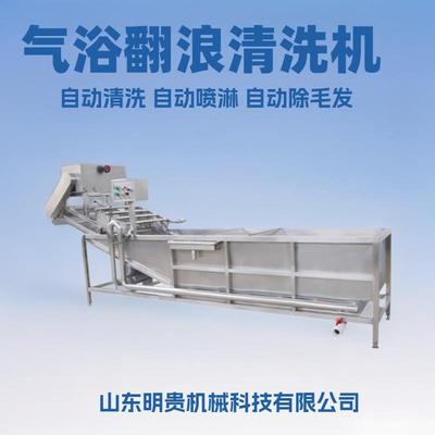 大型红枣清洗机 自动牛奶枣气泡清洗机 鼓泡喷淋洗枣机器