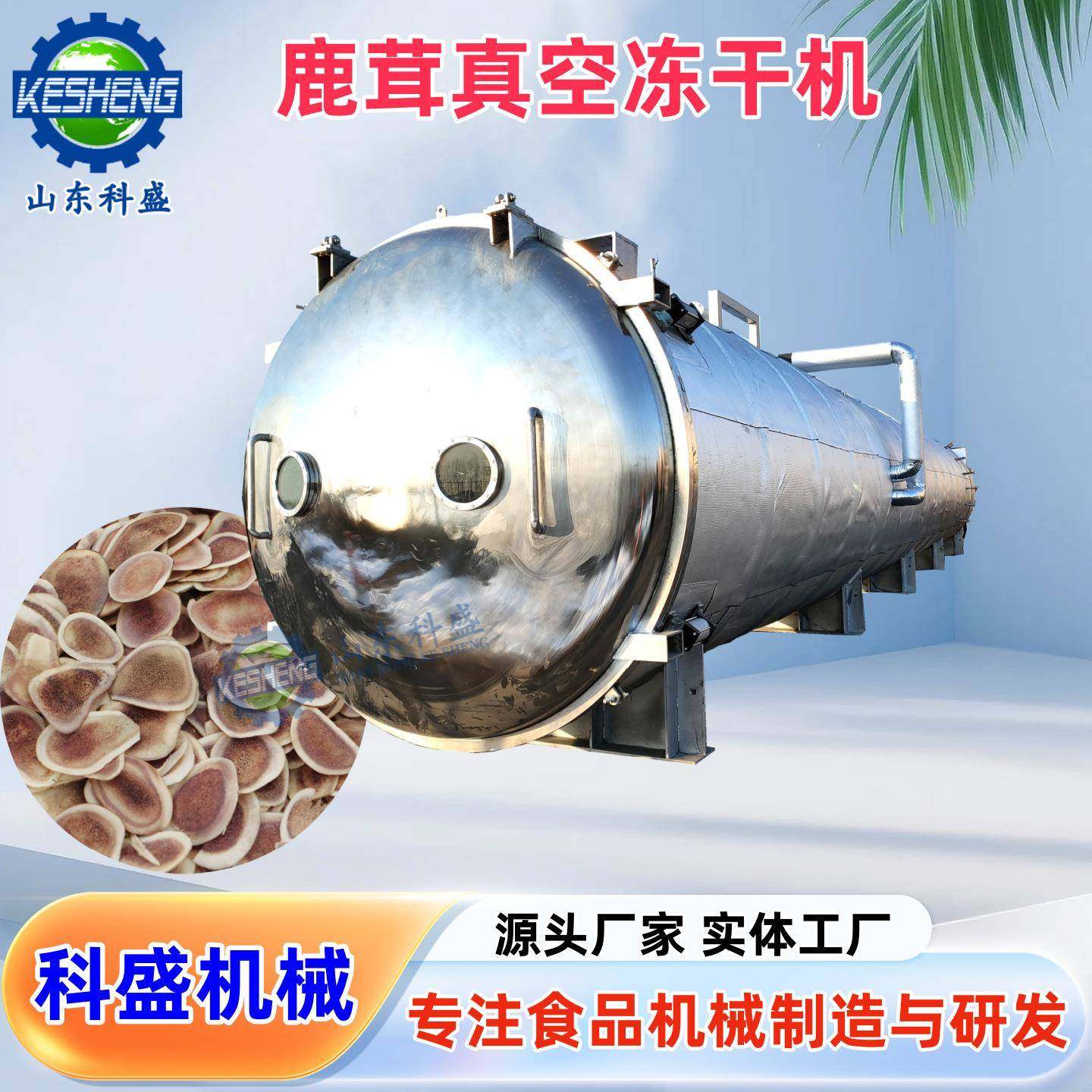 鹿茸冻干机 松茸食用菌低温真空冻干机 玫瑰花栀子花冻干设备