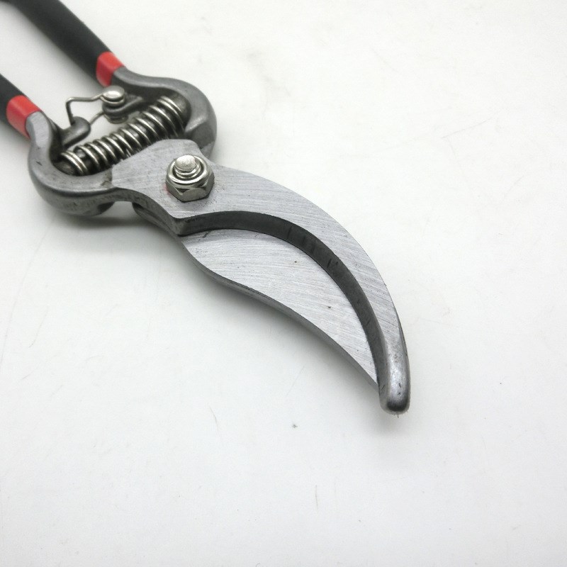 8寸10寸园艺果林树枝剪 多功能树枝剪园林剪刀 防滑手动修树枝剪