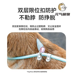 狗狗牵引绳梦幻渐变晕染P绳防爆冲训犬狗链中型犬牵引绳栓狗绳子