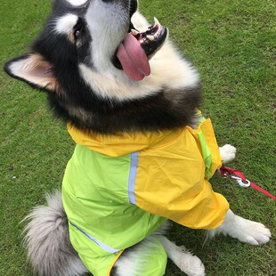 包邮狗狗雨衣柯基犬斗牛犬八哥可卡短脚宠物狗小型犬四脚防水衣服