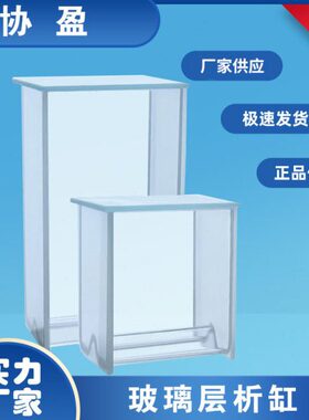 硼硅玻璃层析缸薄层色谱展开缸染色缸槽双槽100*100mm100*200