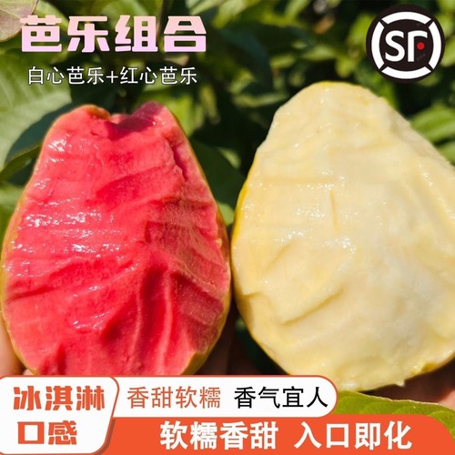 顺丰京东快递随机发货