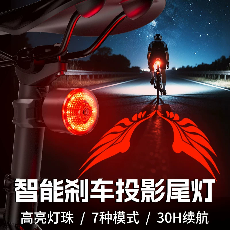 德国自行车尾灯山地公路单车儿童夜骑防水智能刹车感应骑行后尾灯