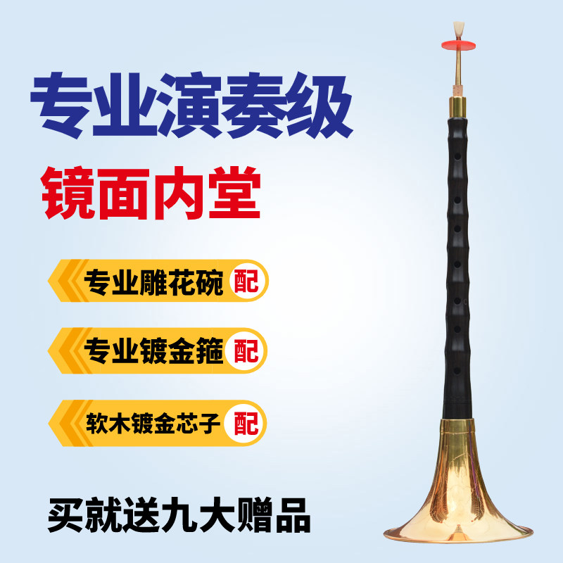 唢呐乐器全套专业演奏级镜面堂乌木C降B大G初学者d调成人儿童喇叭