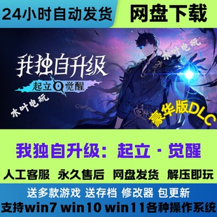 我独自升级起立觉醒 免Steam电脑PC游戏可联机全DLC网盘直装即玩