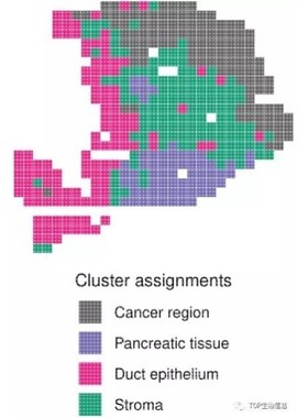 【空间转录组】MIA分析,评估空间region富集的细胞类型