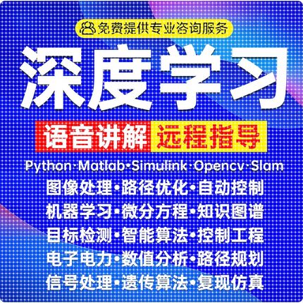 Python深度学习机器学习代编程算法创新指导代码编写优化调试接单