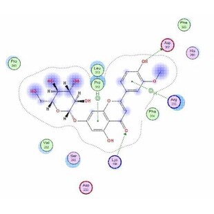 分子对接二维三维可视化作图