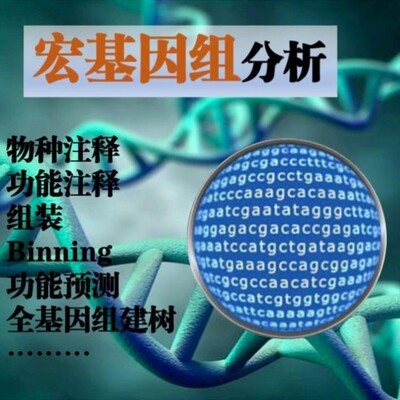 宏基因组数据组装物种注释kegg基因功能注释Binning分箱MAG进化树