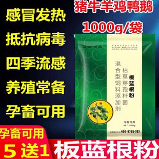 板蓝根粉末兽用鸡鸭流行性感冒猪牛羊清热解毒流感发烧抗病毒中药