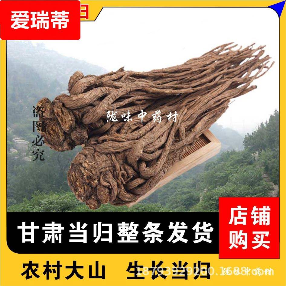 甘肃自然晒干味浓大当归产地当年新当归药味浓