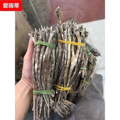 400头500g海龙海钻海尖干货入药打粉六角海龙四角足干商用