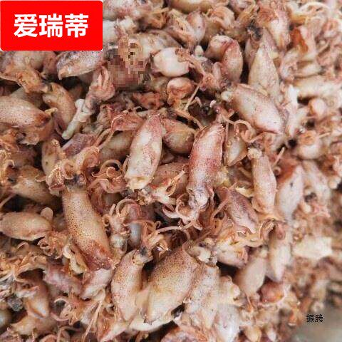新货小海兔干货500克级海兔子小鱿鱼墨鱼仔籽乌乌贼干笔管鱼干