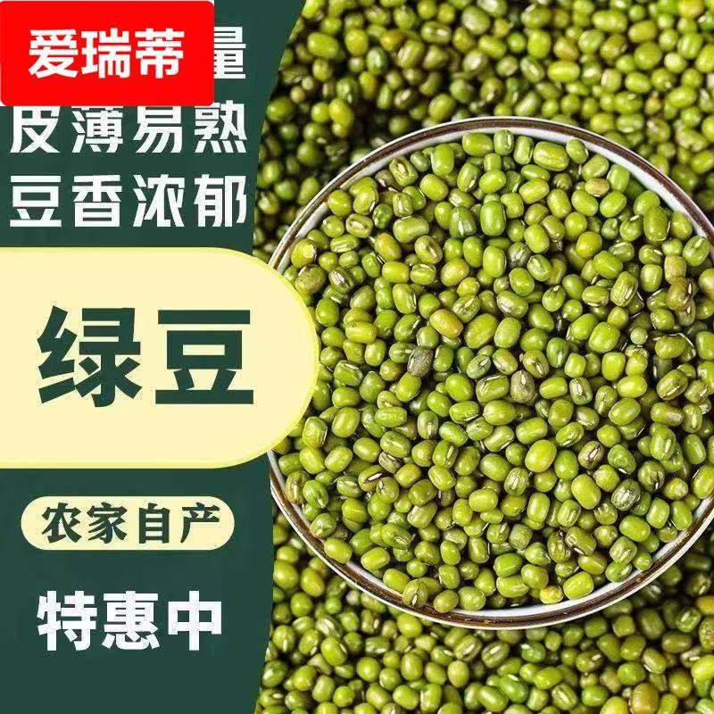 东北农家自产绿豆可发芽颗粒饱满肉多皮薄500粮油旗舰店