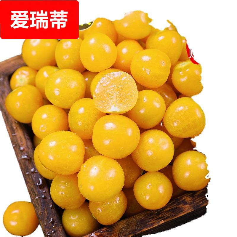 东北姑娘果当季水果5斤黄菇娘甜洋灯笼果红菇娘整箱3