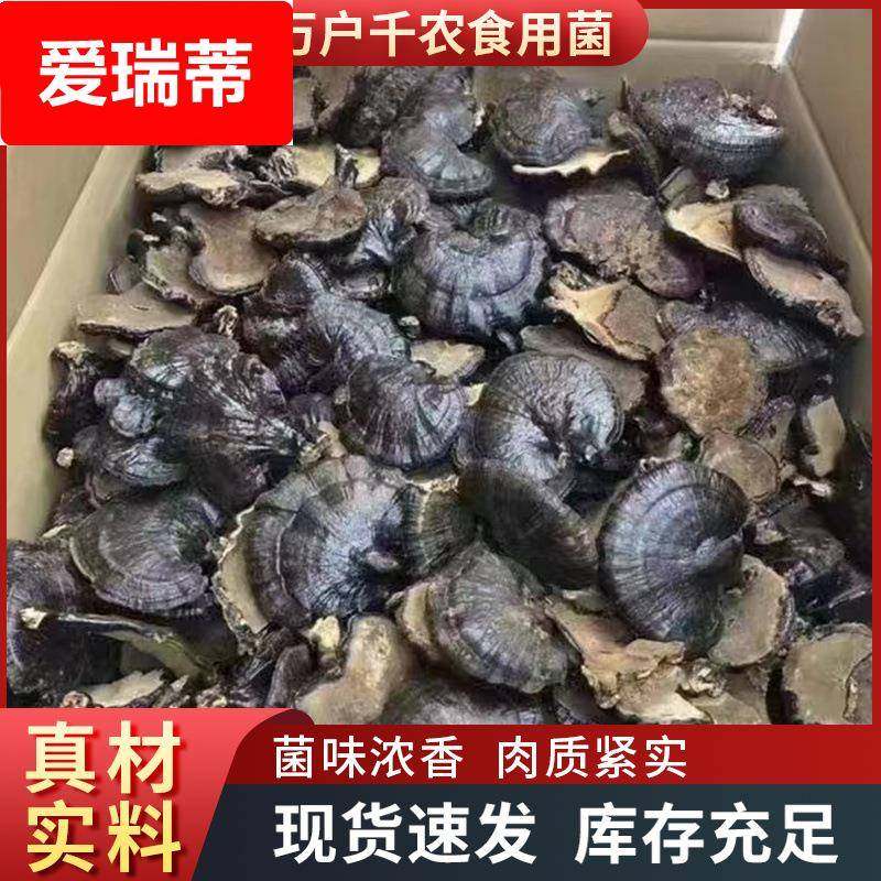 黑灵芝山东可切片打粉整朵煲汤酒店送礼干货现货