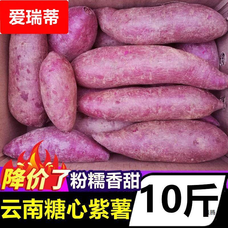 云南糖心紫薯10斤新鲜蔬菜烟薯蜜薯沙地番薯板栗红薯地瓜农家自种