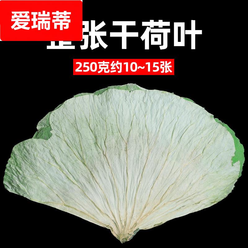 荷叶整张新鲜正品糯米鸡专用叫花鸡黄泥大何叶片熬粥的干荷叶