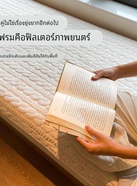 IBW窗垫款2025新窗垫轻奢高级感四季飘通用主卧阳台飘窗坐垫可睡