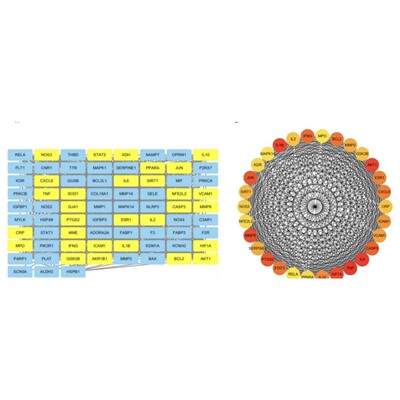 植物生物信息GWAS分析2D3D绘图单倍型分析构建进化树生物信息