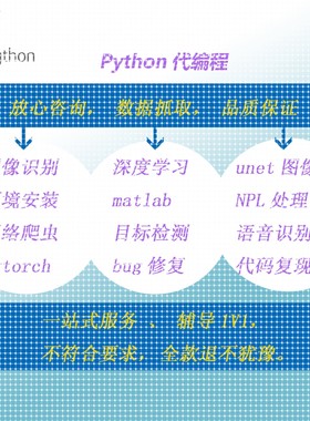 Python深度学习遥感医学图像识别目标检测语义分割代编程调试爬虫