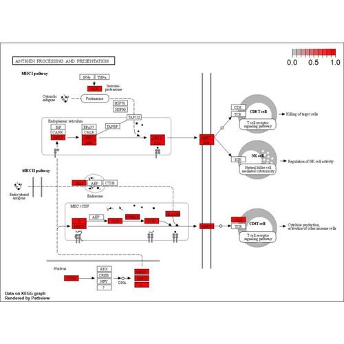 生信咨询代码作图思路数据等问题服务
