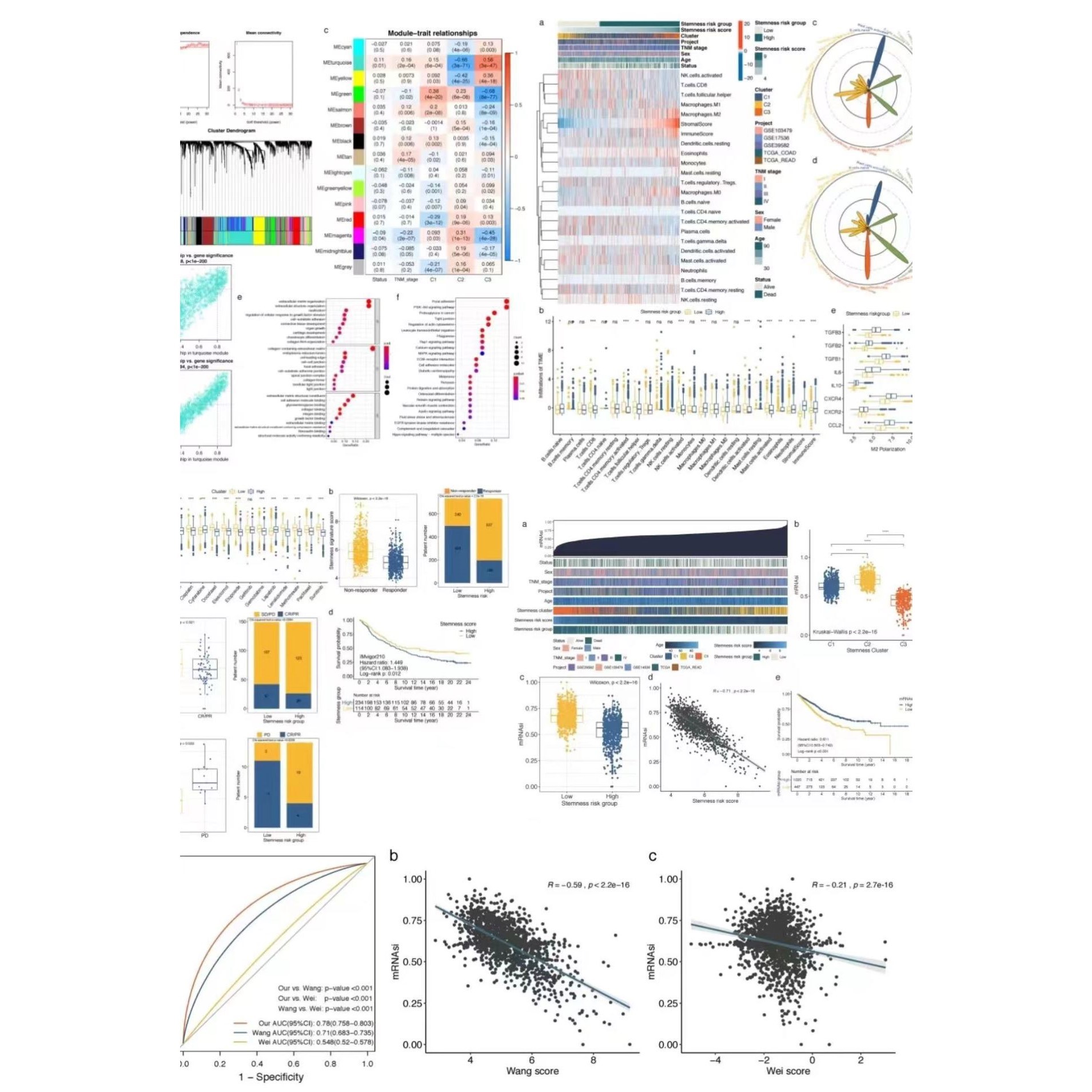 生信分析基因蛋白质测序数据分析差异分析富集分析R语言Python