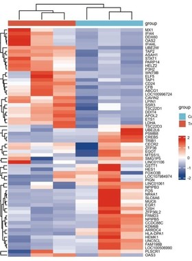 bulk+RNAseq上游分析fastq到count矩阵,当天出结果