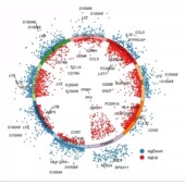 生信分析医学文章数据库挖掘TCGA转录组GEO富集分析GWAS细胞实验