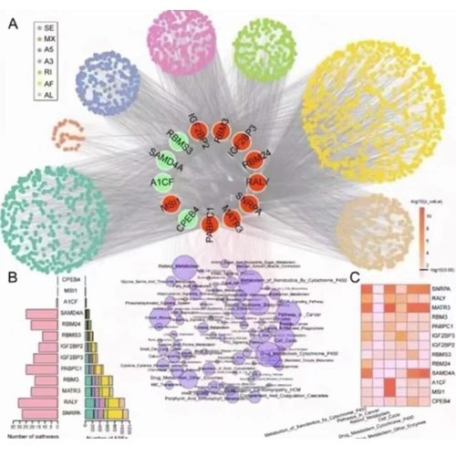 spss数据分析服务问卷调查医学期末因子成分咨询服务数据定制代做