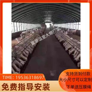 温室棚全EBV套大骨架钢蔬管菜温种植连体牛棚椭圆定制养保殖连栋