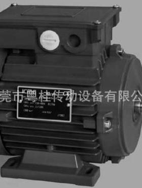 意大利ICME进口电机 意大利进口马达 T112LB4B5/B14/B3 4KW