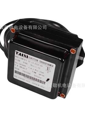 燃烧机点火器 XT-14 单极1*14KV 双极2*7KV TAISI台思 变压器