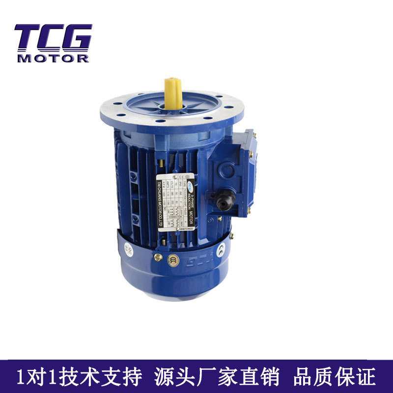 120W小型三相鼠笼式电动马达 安装操作方便TCG  厂家直销机械设备