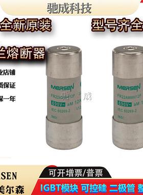 罗兰FR22AM69V12 FR22AM69V16 FR22AM69V20保险丝厂价供应 请咨询