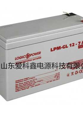 Logicpower蓄电池 LPM-GL12V-9AH 应急电源电池12V9AH