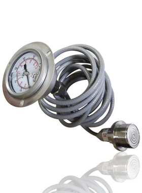 锅炉用毛细管耐高温充油压力表全钢304轴向带前边YNBF60ZT 0.6MPA