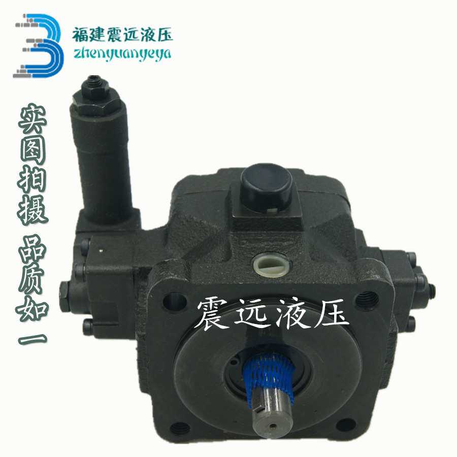 ANSON叶片泵 VP5F-A5/B3/A4/B5/A3/B4/A2/B2-50/50S