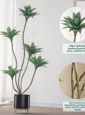 斯堪的纳维亚植UUB室内地大型模绿色物睡莲植物盆栽客厅落窗景观