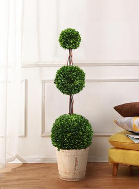 北物网红球形欧创意盆景内室客厅大型PNL落地植办公室大盆栽懒人