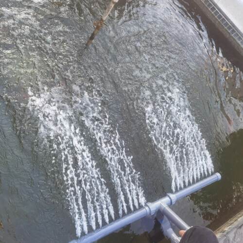 鱼池冲造浪泵大流量浪鱼池造浪泵XQR粪器底吹造浪器吹泵抽水过滤