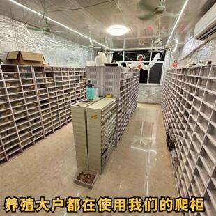 PVC爬柜蛇柜豹饲纹守宫抽蜥蜴爬宠养箱6432屉盒A繁殖HAI一体恒温
