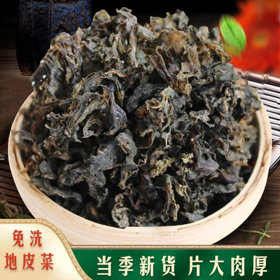 地皮菜野生免洗陕西干货地软天然地衣菜免洗木耳雷公菌蒸包子